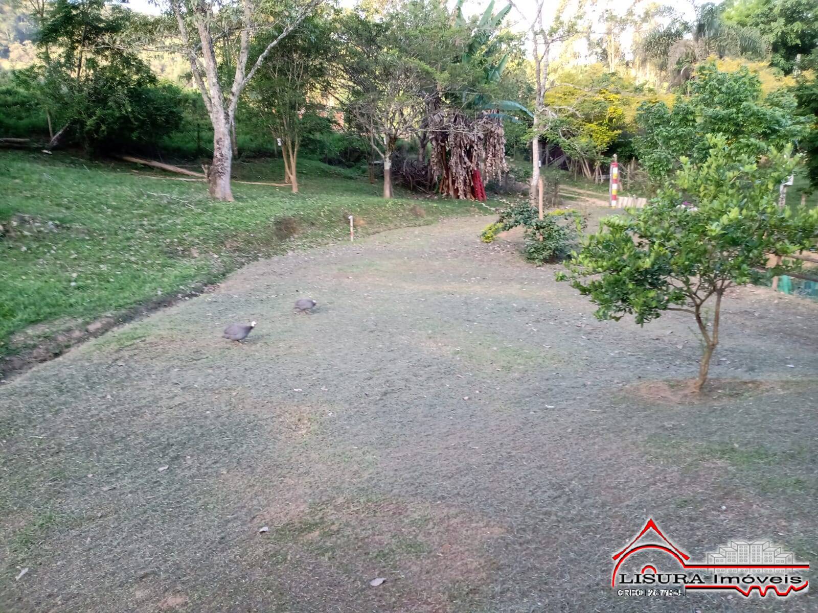 Fazenda à venda com 3 quartos, 220m² - Foto 52