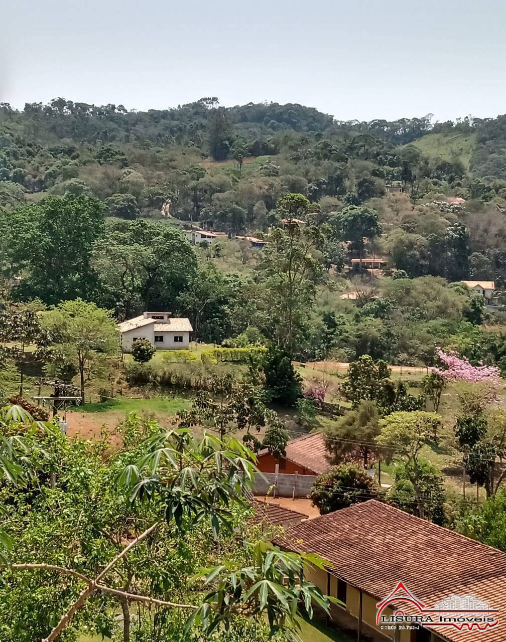 Fazenda à venda com 3 quartos, 220m² - Foto 50